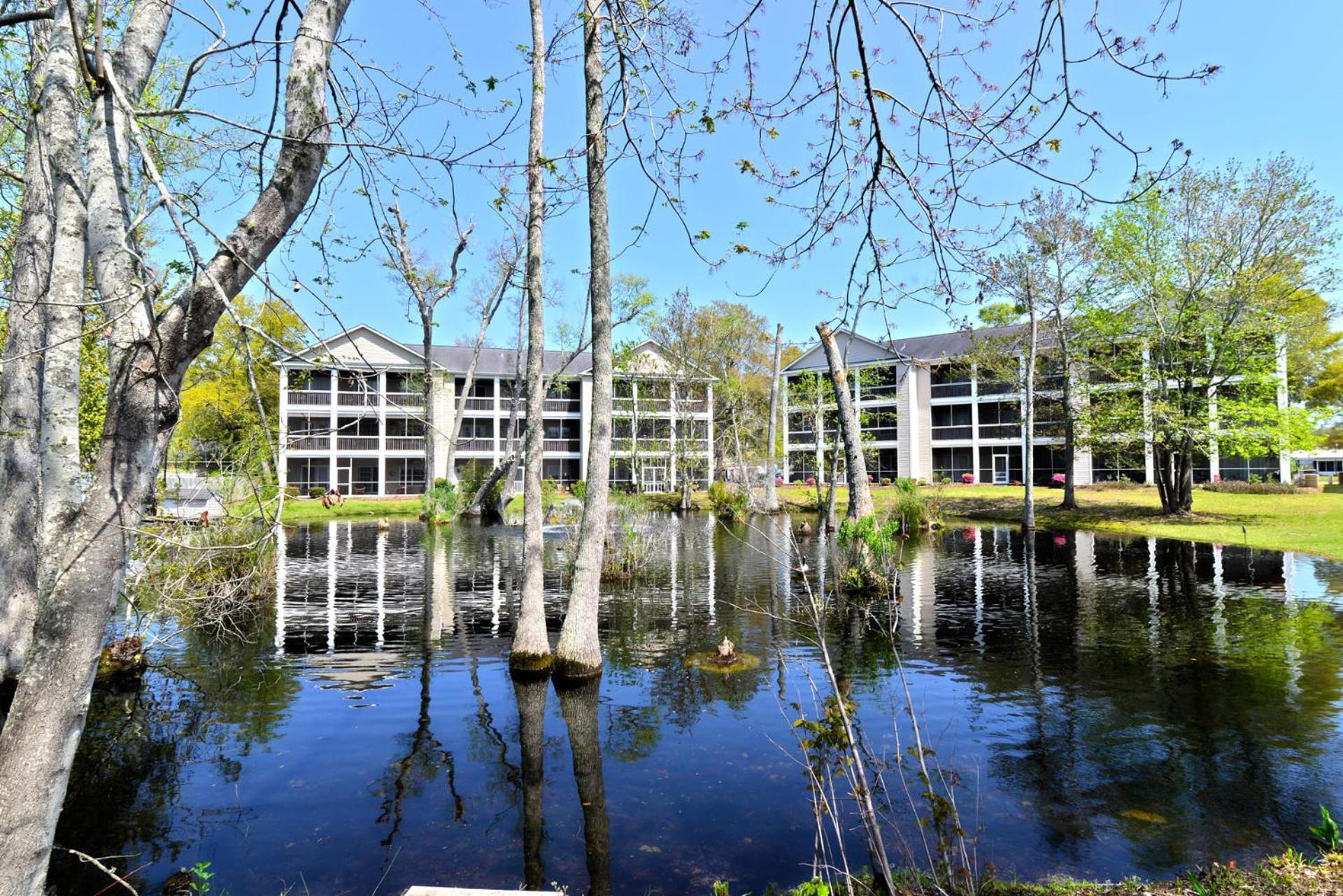 All New Luxury Beach Retreat 1 Mile To Beach W Pool Myrtle Beach Extérieur photo